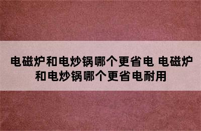 电磁炉和电炒锅哪个更省电 电磁炉和电炒锅哪个更省电耐用